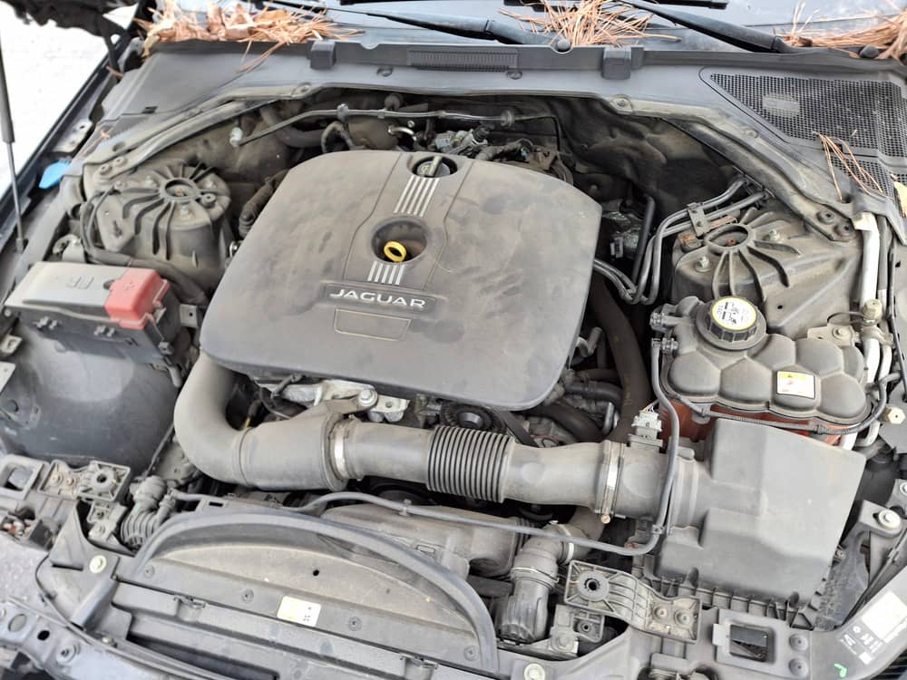 JAGUAR XE, 2017 (2016) — Вивантаження photo 8